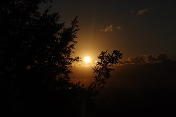 Fototapeta premium Golden Sunset Framed by Dark Tree Silhouettes and Clouds