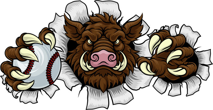 A wild boar, hog razorback warthog pig mean tough cartoon sports mascot holding a baseball ball