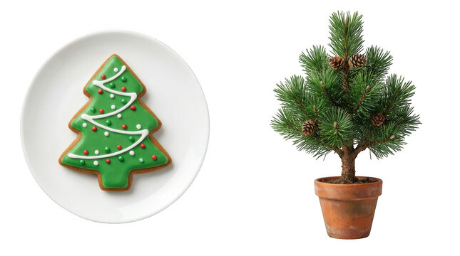 Christmas tree shaped cookie on a plate and a small pine tree isolated on transparent background