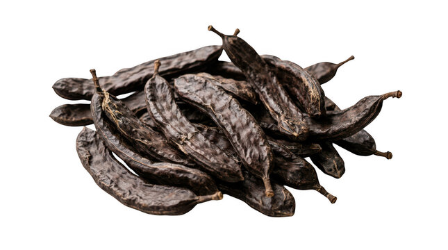 Dried carob pods isolated on transparent background