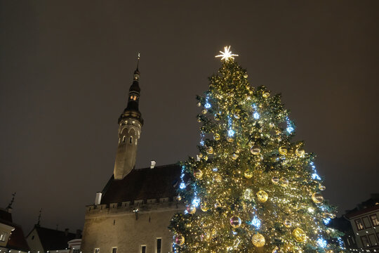 Low-angle view of an illuminated Christmas tree with Tallinn Town Hall tower in the background at night
