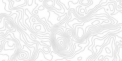 Contour abstract map relief land outline. Topographic map patterns. White wave paper curved reliefs abstract background. Background of the topography map. Abstract pattern with lines. © armans
