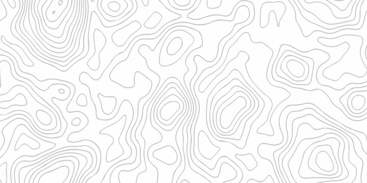 Contour abstract map relief land outline. Topographic map patterns. White wave paper curved reliefs abstract background. Background of the topography map. Abstract pattern with lines.