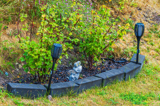 Close up view of berry bushes with ripening red currants, garden lights and snail ornament. Sweden.