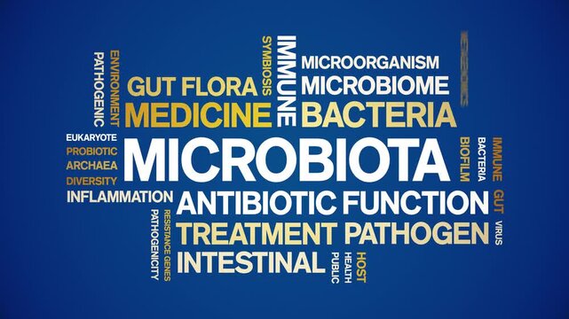 Microbiota animated word cloud-text design animation tag kinetic typography seamless loop.
