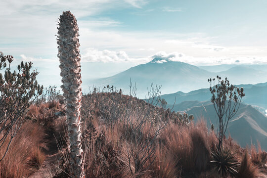 Mountains in Equador