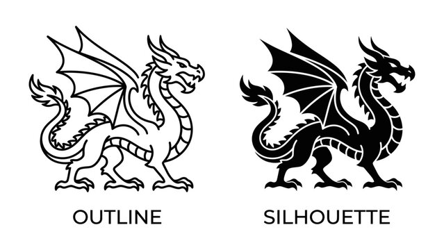 Dragon Illustration: A detailed illustration showcasing a mythical dragon in both outline and silhouette forms, representing fantasy and folklore.