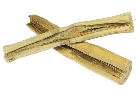 dried sugarcane stalks isolated on white background