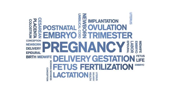 Pregnancy animated word cloud-animation tag kinetic typography seamless loop.