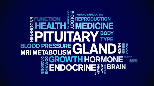 Pituitary Gland animated word cloud-animation tag kinetic typography seamless loop.