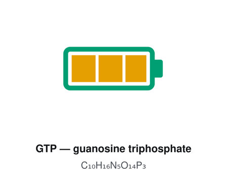 GTP Guanosine Triphosphate C10H16N5O14P3 Chemical Formula Vector Illustration