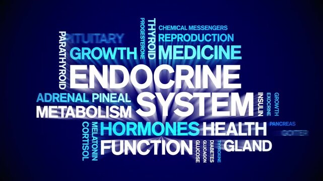 Endocrine System animated word cloud-animation tag kinetic typography seamless loop.