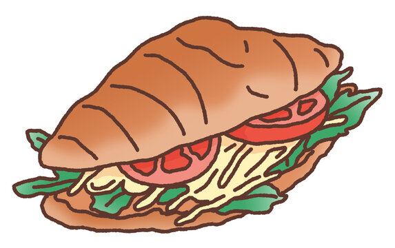 vector illustration of a sandwich