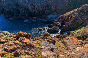 Obraz premium Copperhead Walk, Seal Rocks State Reserve, Surprise Bay, King Island, Tasmania, Australia