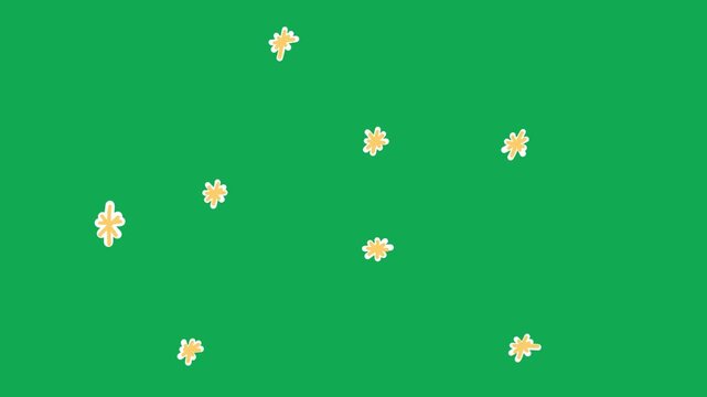 Hand Drawn Yellow Sparkle Stars White Outline 2D Green Screen Animated Overlay