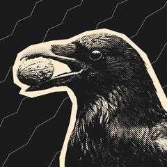 Naklejka premium crow holding a walnut in its beak retro halftone illustration