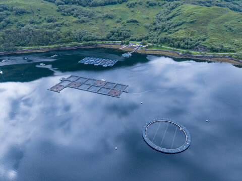 Aerial view of fish farm cages floating in the calm waters of the loch with green hills and a coastal road in the background in Lochailort, Scotland, United Kingdom.