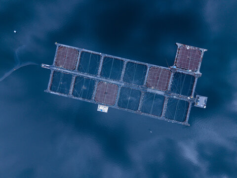 Aerial view of a fish farm with floating cages in the deep blue water of Lochailort, Scotland, United Kingdom.