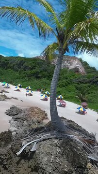 Tambaba Beach At Joao Pessoa In Paraiba Brazil. Outdoor Landscape. Nature Beach. Natural Background. Summer Travel. Tambaba Beach At Joao Pessoa Paraiba Brazil.