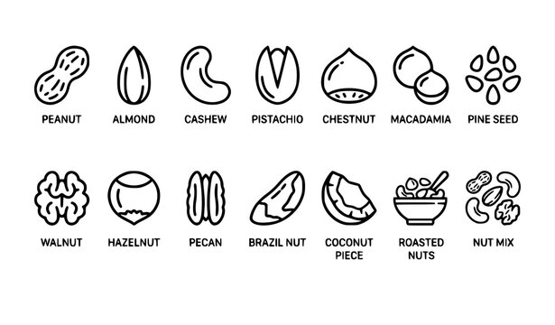 Healthy nuts outline icon collection with almond peanut cashew pistachio and macadamia editable vector