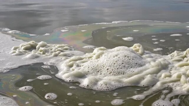 Polluted water surface with white foam and iridescent oil slick illustrating aquatic environmental degradation, industrial wastewater discharge