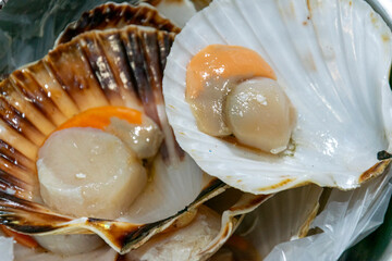 Fresh raw scallops in shell The Concept of gourmet seafood and marine cuisine © VicVaz