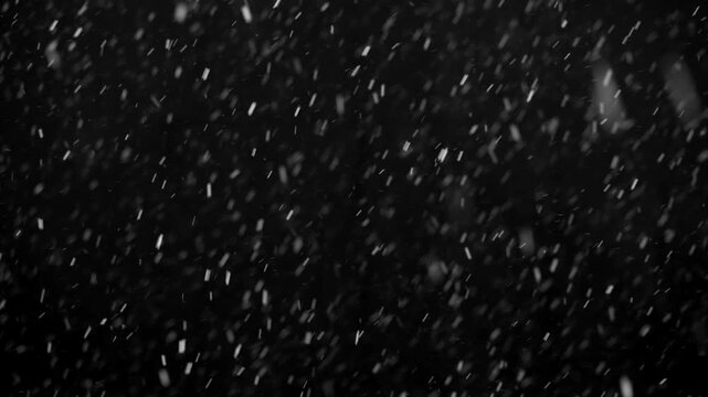 White snow isolated on black background, natural and real, winter nature, using for overlay effect