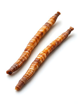 Yarsagumba (Cordyceps sinensis), Yartsa Gumbu (Himalayan Gold), Nepal, ingredient used in traditional Chinese medicine, Yartsa Gumbu.