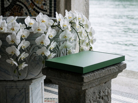 Elegant green presentation box on stone pedestal next to white orchids in marble planter by the water