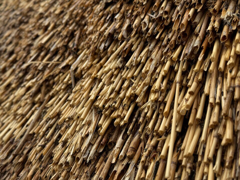Close-up of a thatched roof with overlapping straw or reed bundles.
