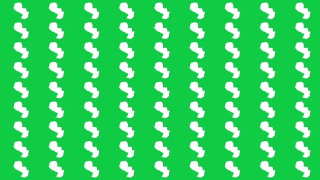 Paraguay map pattern scrolling perfect 15 second loop with green background
