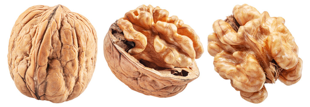 Whole walnuts and peeled walnut pieces isolated on white background.