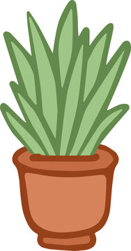 Potted Houseplant in Ceramic Vase Vector