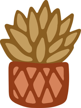 Moroccan Potted Succulent Plant Vector