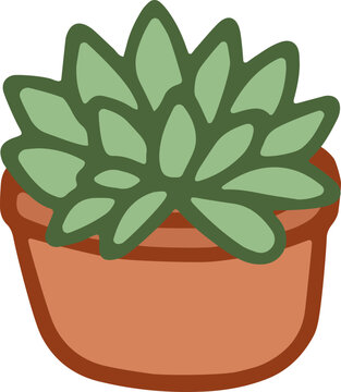 Moroccan Potted Succulent Plant Vector