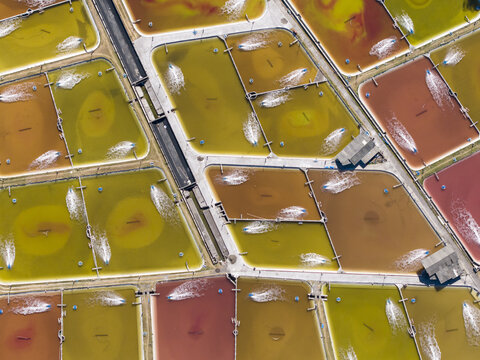 Aerial view of shrimp farm with colorful rectangular ponds and water aerators in Kecamatan Buleleng, Bali, Indonesia.
