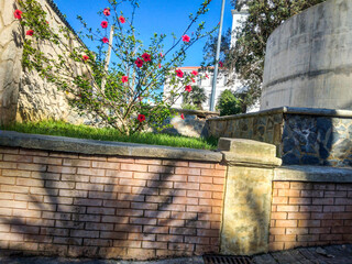 Vibrant red hibiscus flowers bloom gracefully within a sunlit urban garden featuring rustic brick walls and stone textures under a clear bright blue summer sky © Graphixa