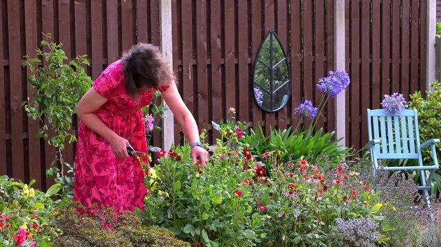 Garden therapy.