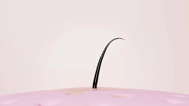 Hari Growing Plant Vector Animation | Green Growth Agriculture Nature Motion Graphics 4K
