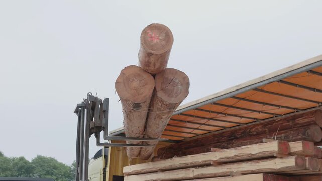 Forklift lifting stacked logs and rough-sawn timber beside a transport truck at an outdoor lumber yard, showing wood handling and industrial logistics