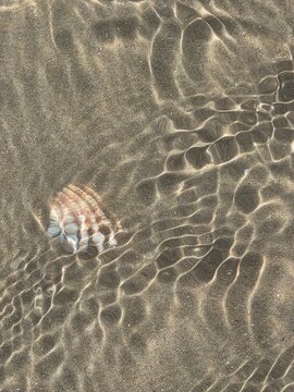 Clear, shallow water flowing over a rippled sandy seabed with a seashell visible underwater, creating natural caustic light patterns.