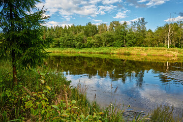 Obraz premium Serene River Landscape with Forest Reflection and Blue Sky