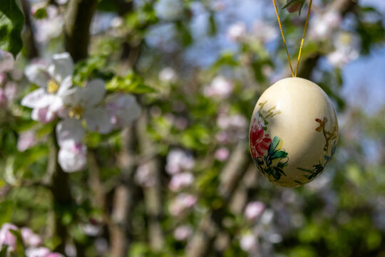 easter egg on a tree