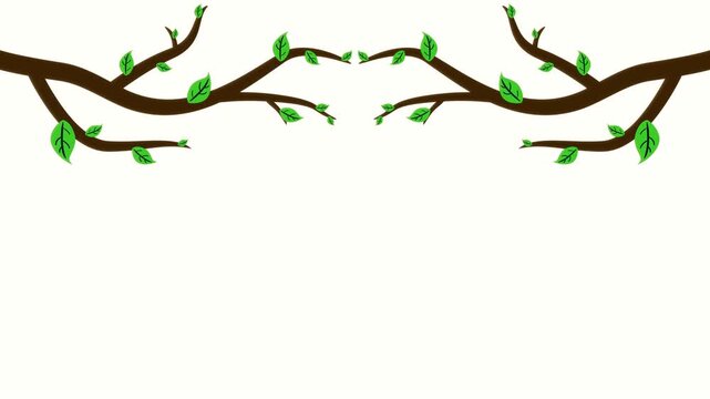 Tree branches with green leaves growing from top animation on transparent background