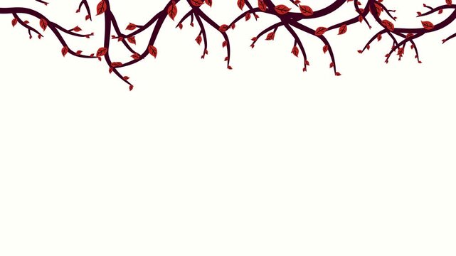 Autumn tree branches with red leaves growing from top animation on transparent background