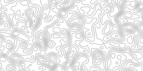 Modern abstract geographic contour line background, curved elevation bands across the surface, for presentation, cover and web banner. © hossain