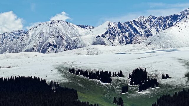 Aerial view of snow-covered mountain ranges and green forests in spring under a blue sky, Kalajun Grassland, Ili, Xinjiang, China.