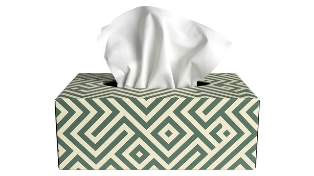Decorative tissue box with white paper