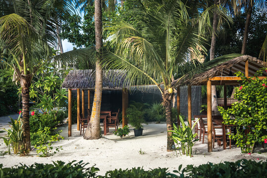 Wooden gazebos with thatched roofs and outdoor dining sets stand on white sand surrounded by coconut palm trees at a tropical resort in Dhigurah, Maldives.