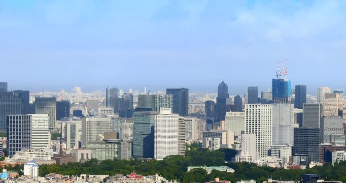 東京都庁展望室から望むビル群と街の景色
